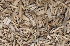 biomass boilers Baranailt